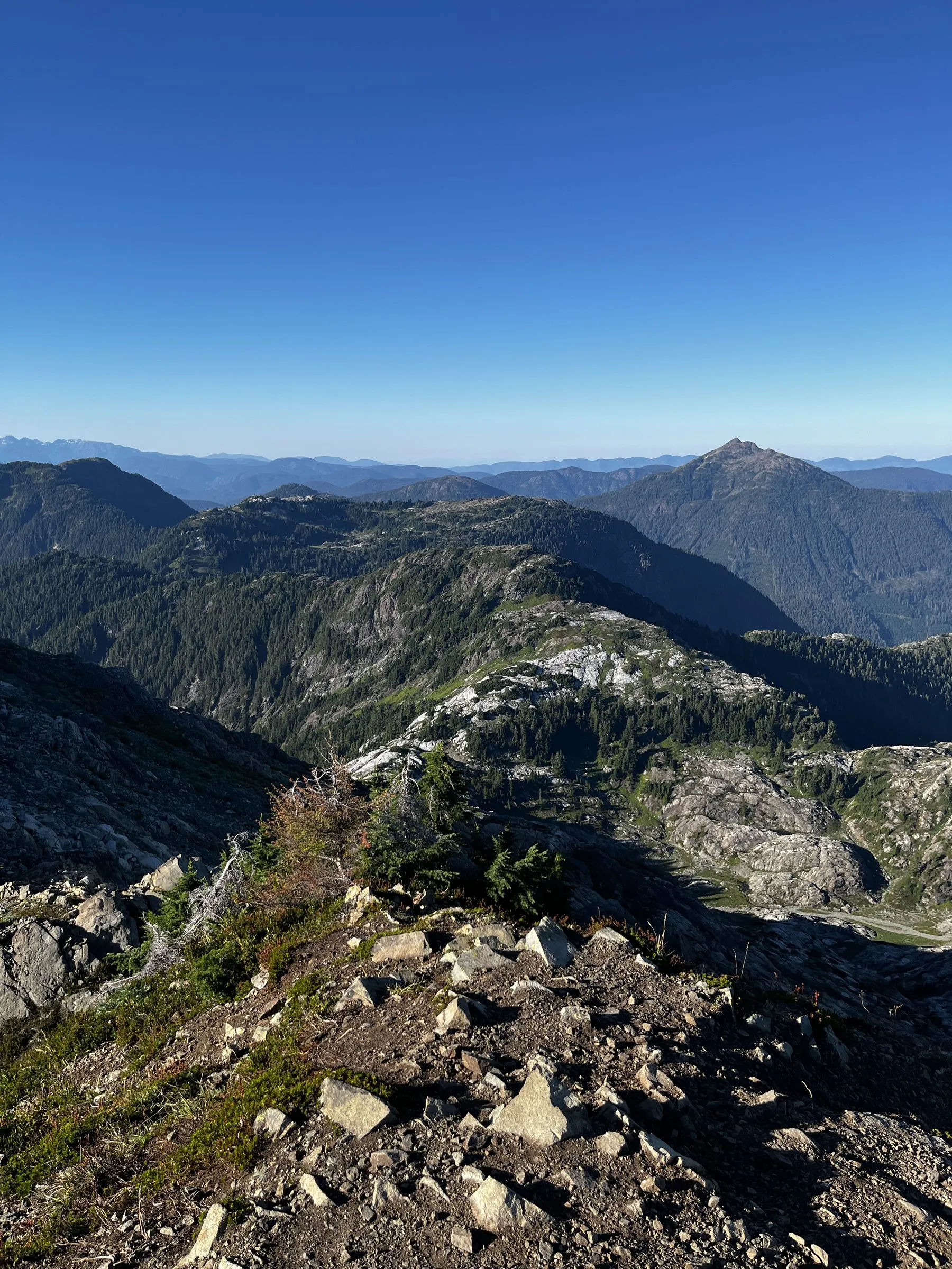 A stony ridge in the foreground looking over pale granite slabs and forested ridges toward a pointed peak