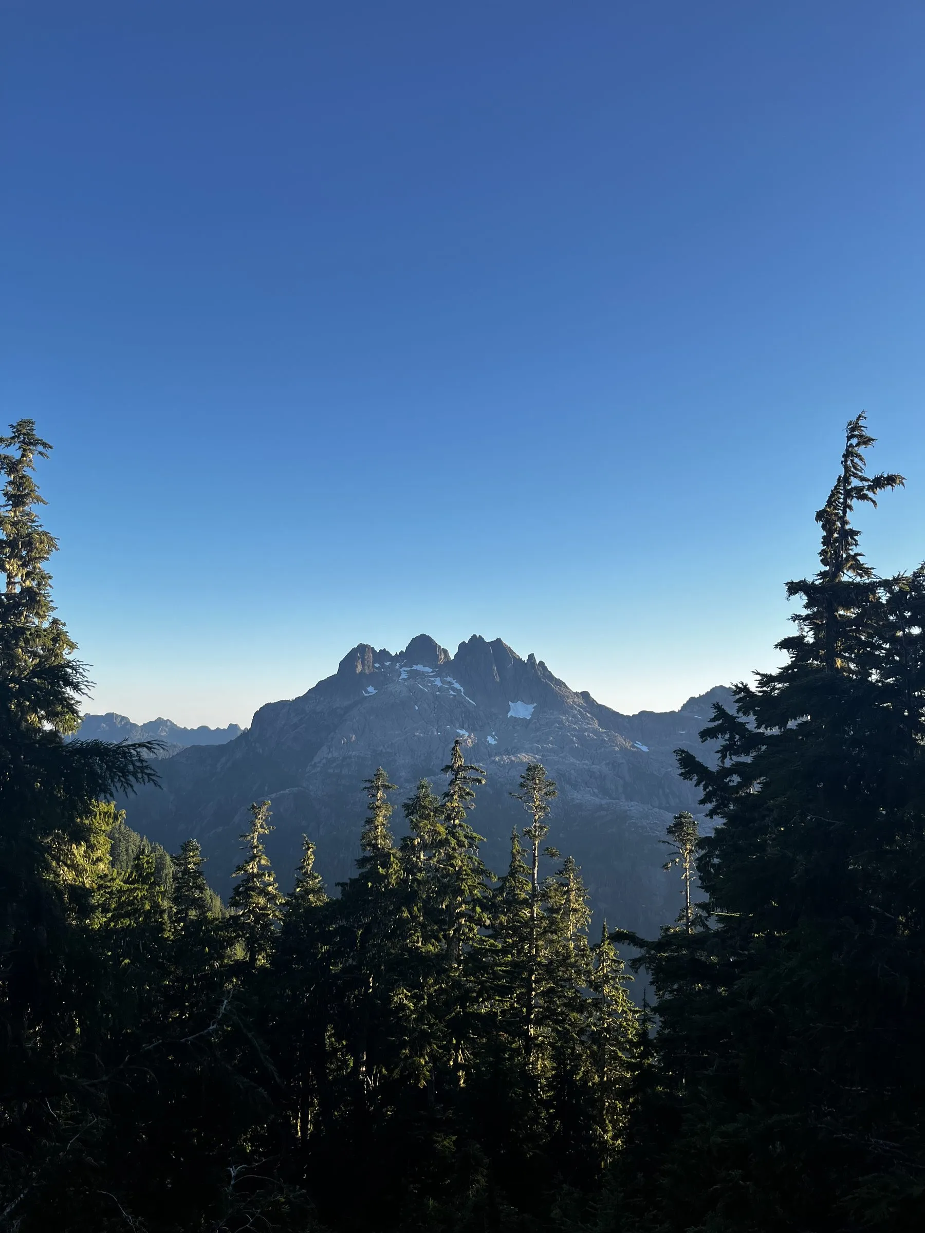 The jagged peak under a clear evening sky, the tops of firs in front catching the last of the sun
