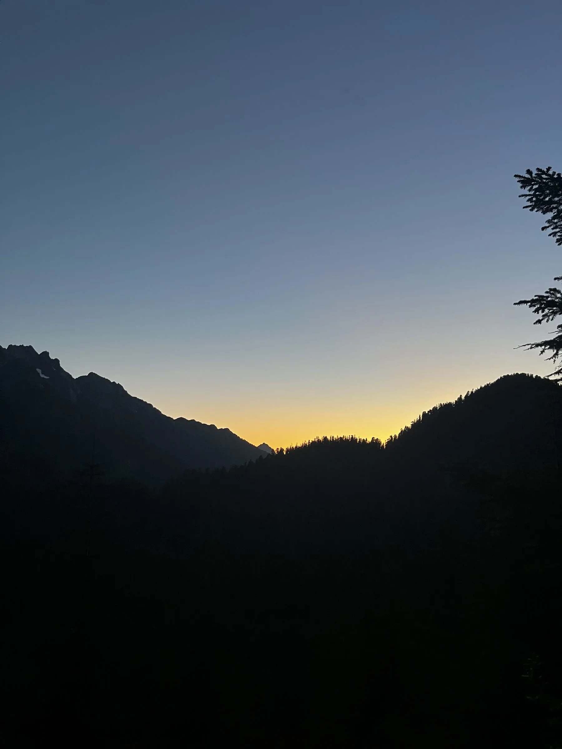 A yellow afterglow along the horizon between dark mountain silhouettes, a fir branch at the right edge