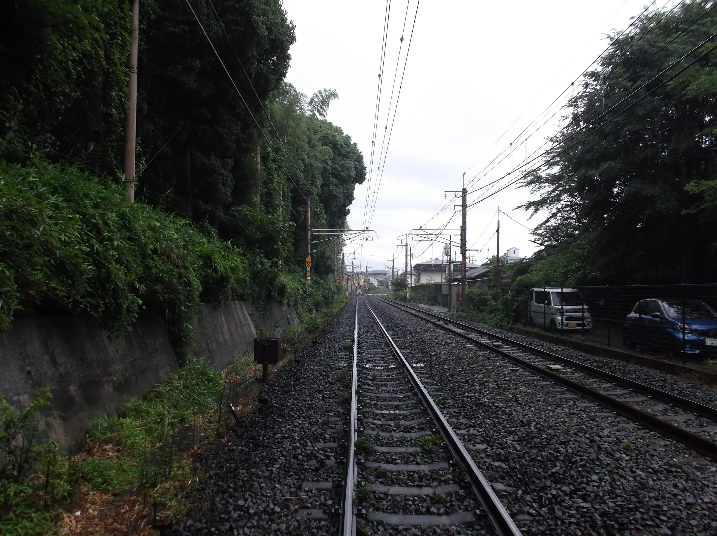 Railway tracks running straight into the distance between an overgrown bamboo embankment and a row of parked cars under overhead wires