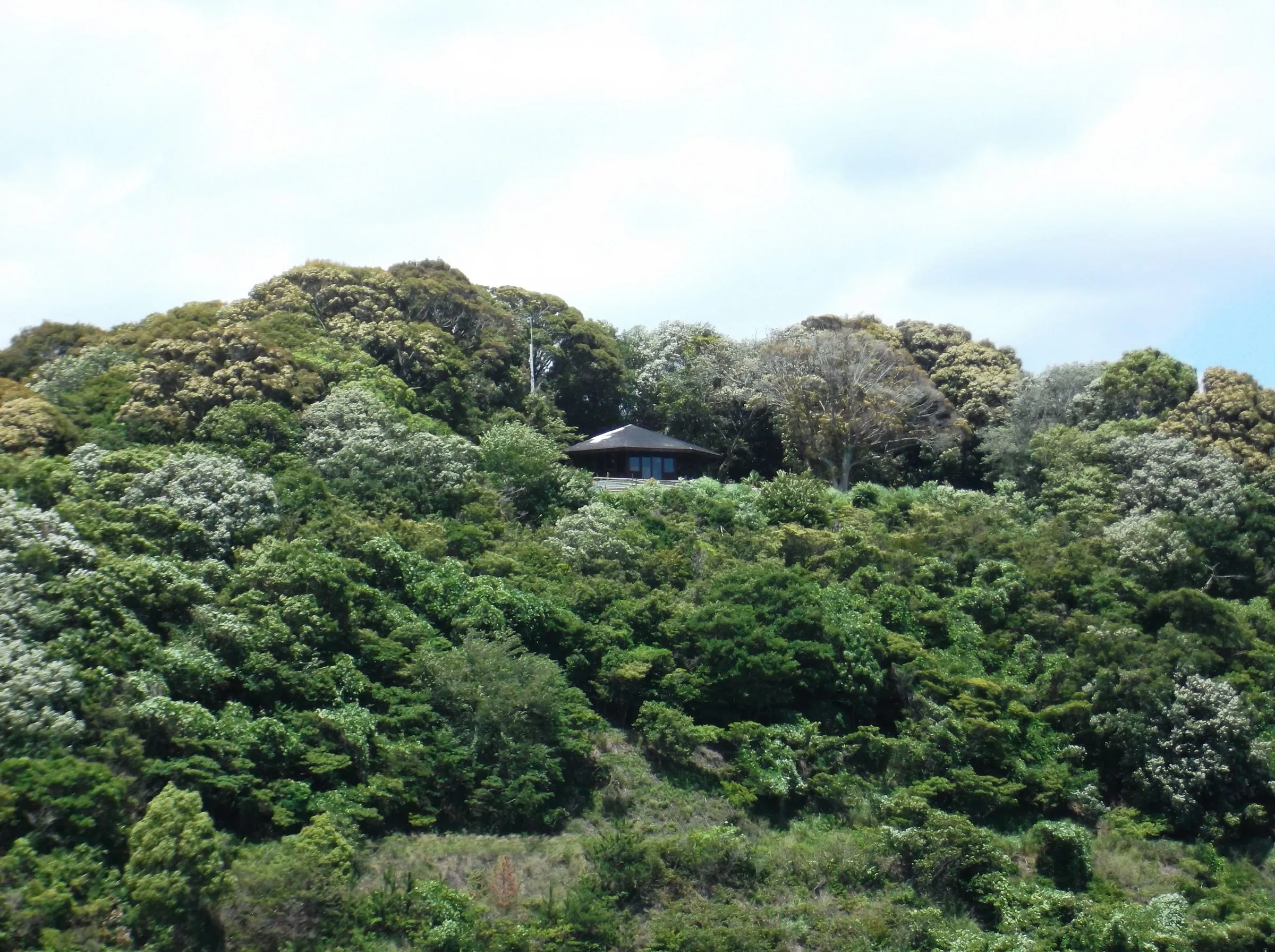 A single dark-roofed house nearly hidden at the top of a hill covered in dense green and flowering trees