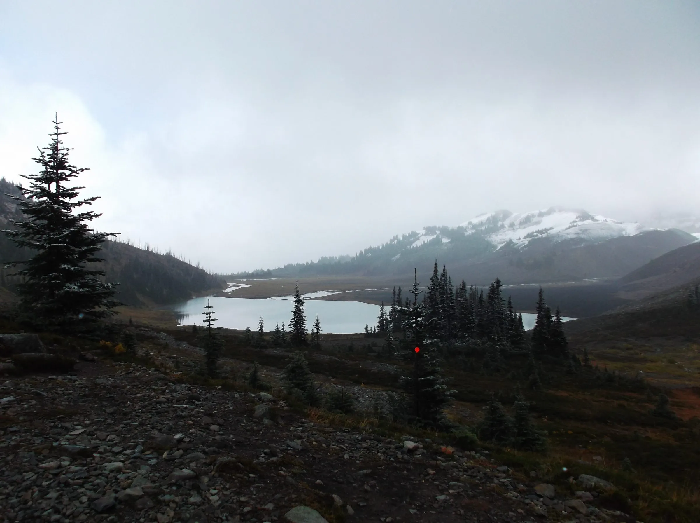 A pale lake in a wide basin below a snow-dusted mountain, a lone fir and rocky trail in the foreground
