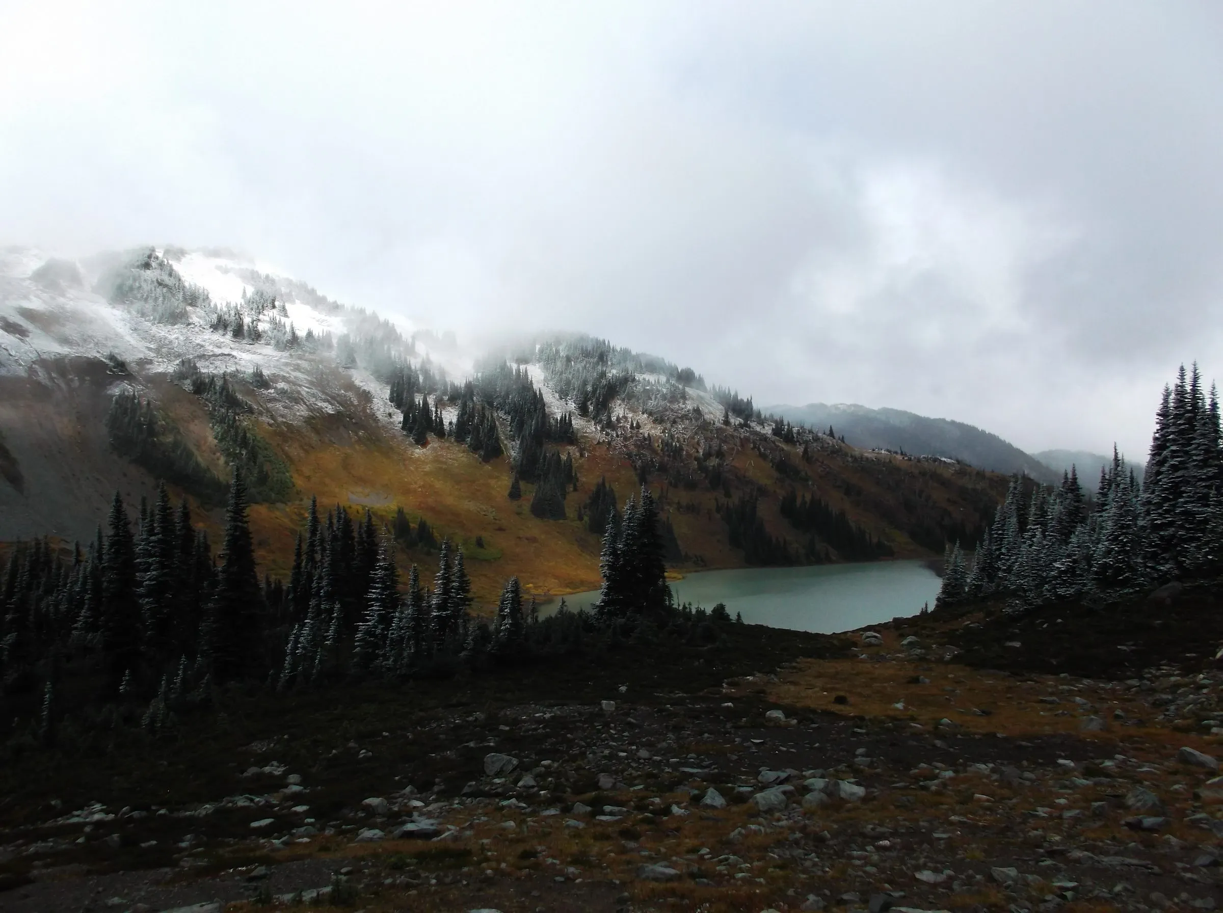 Frost-covered firs and an autumn-gold slope beneath a snow-dusted ridge in cloud, a green lake below