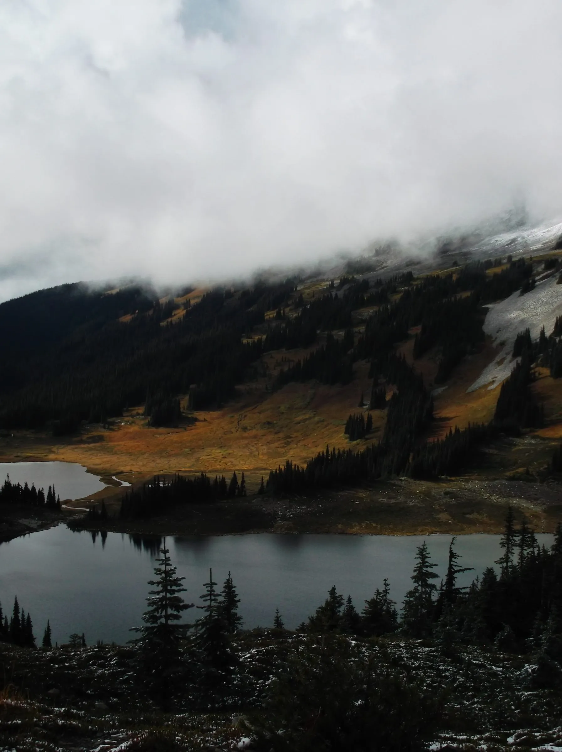 Heavy white cloud sitting on a forested slope above a golden meadow and a dark lake