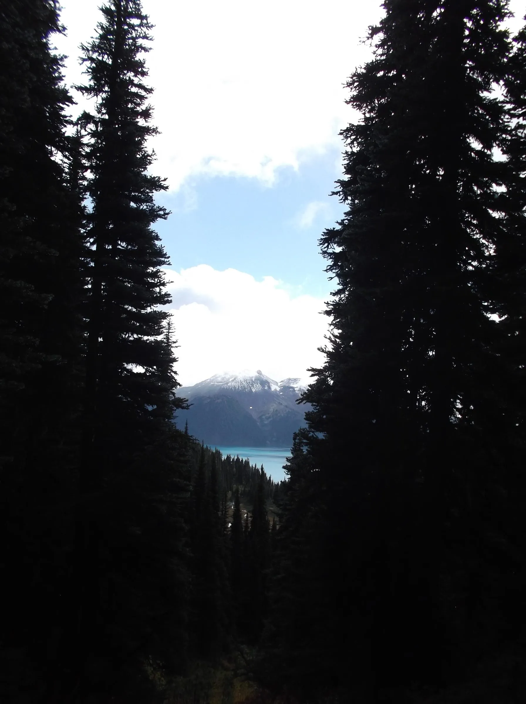 Tall dark firs framing a narrow gap that shows a turquoise lake and a snow-capped peak under a bright sky