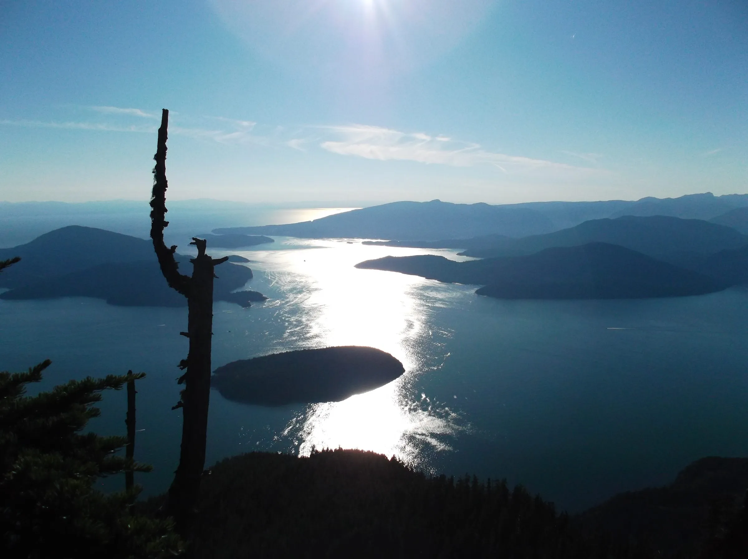 Sunlight glittering on Howe Sound between hazy islands, a bare snag and dark forest silhouetted in the foreground