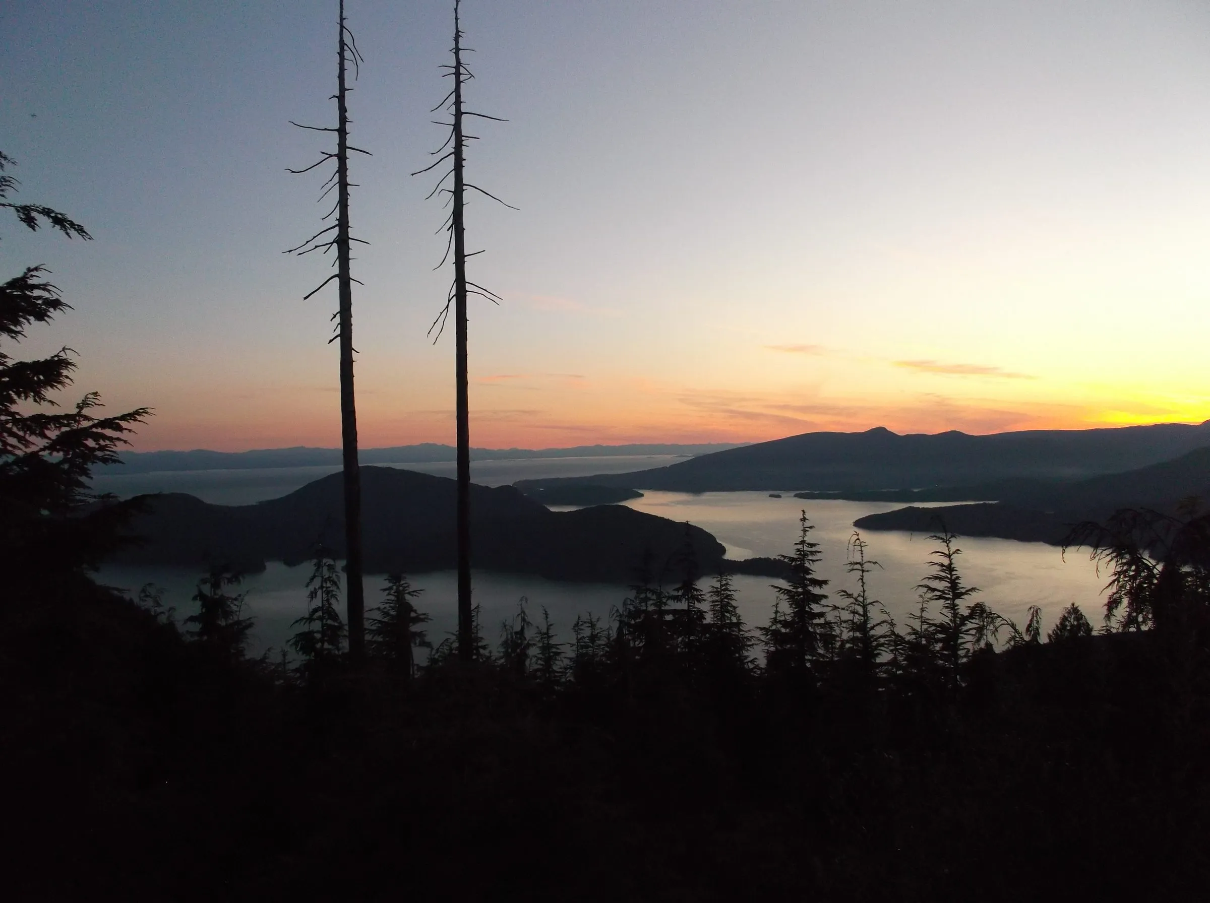 Two bare snags silhouetted against an orange sunset sky above dark islands and pale, calm water